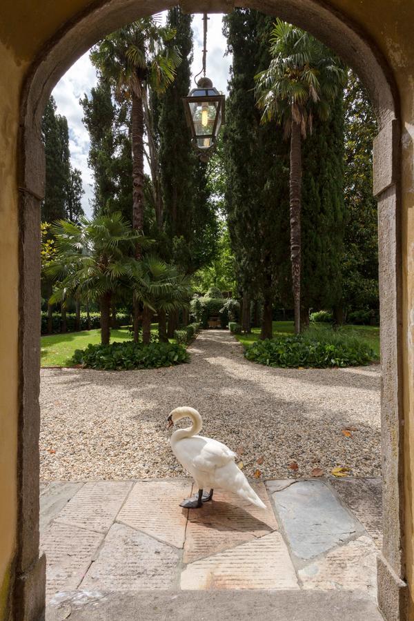 Coselli 'S Collection. Luxury Villas Rental Capannori Exterior foto